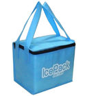 Portable Nonwoven Insulated Cooler Bags Untuk Promosi, Grey / Blue